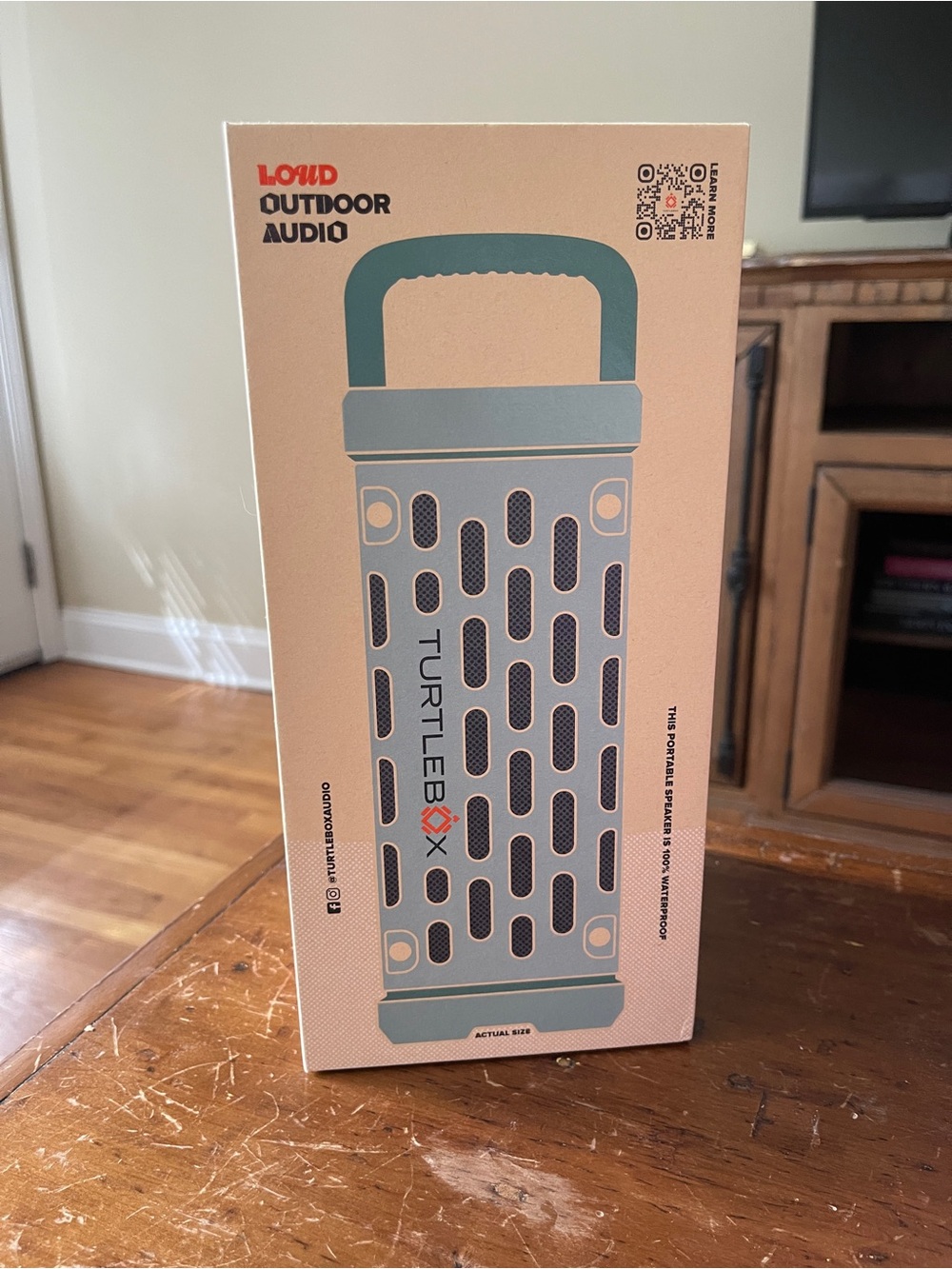 Turtlebox Portable Outdoor Speaker in River rock